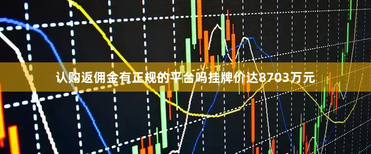 认购返佣金有正规的平台吗挂牌价达8703万元
